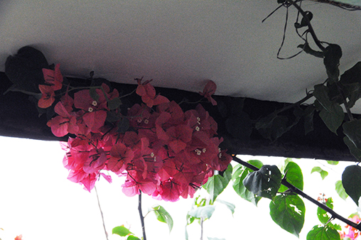 نوروز1400آبادان