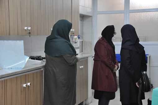 بازرسان اعتبار بخشی  8