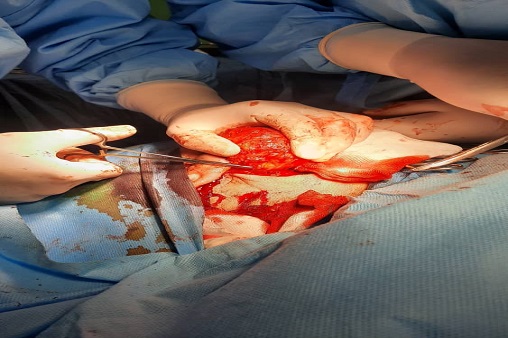 دکتر بهگام  1