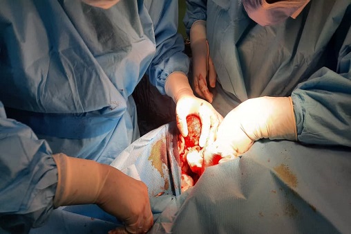 دکتر بهگام  2