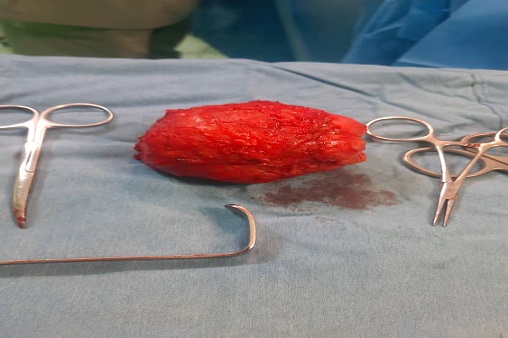 دکتر بهگام  4