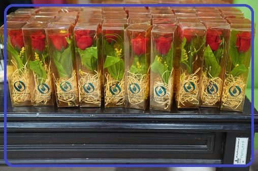 همایش سالمندان آغاجاری 7